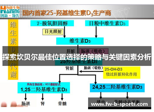 探索坎贝尔最佳位置选择的策略与关键因素分析