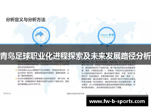 青岛足球职业化进程探索及未来发展路径分析