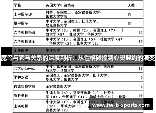 魔鸟与老马关系的深度剖析：从性格碰撞到心灵契约的演变