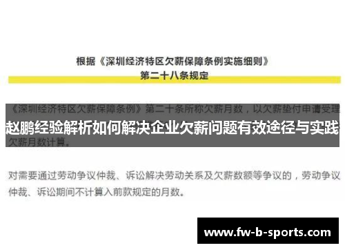 赵鹏经验解析如何解决企业欠薪问题有效途径与实践